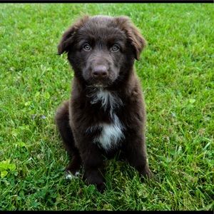 Meet your Posher, Kylee